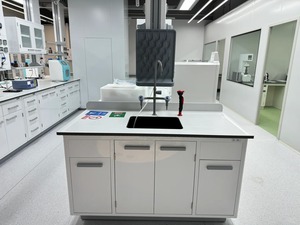 Hiện đại phong cách mới bệnh viện cuộc sống khoa học nghiên cứu phòng thí nghiệm tường Băng ghế dự bị thuốc thử Kệ tường Tủ phong cách phòng thí nghiệm đồ nội thất - Product Image 6