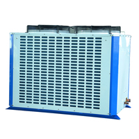 Unidad enfriadora para contenedor Reefer, condensador refrigerado por aire, evaporador de habitación fría