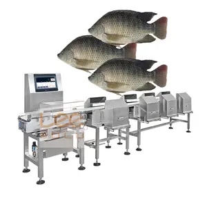 Industrieller hocheffizienter Gewichtssortierer Broiler automatisches Förderband Gewichtsklasse-Sortiermaschine für Hühner Fisch Obst