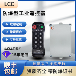 Télécommande industrielle sans fil antidéflagrante LCC BQ800 pour grue, équipement électrique certifié - Product Image 5