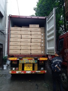 Sedile Elettrico Più Venduto per Toyota, VW, BMW, Audi, Mercedes-Benz, Nissan, Honda, Buick, Ford, Hyundai, <span class=keywords><strong>Infiniti</strong></span>, Jeep, KIA, Lexus - Product Image 6