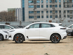 Hangan-coche híbrido enchufable, 1,5 T, 135km - Product Image 4