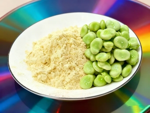 <span class=keywords><strong>Protein</strong></span> Kacang Fava Vegan 90% Harga Pabrik NON-GMO - Product Image 2