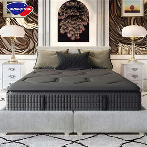 Euro Nữ Hoàng Vua Kích Thước Nén Không Thấm Nước Nệm Bảo Vệ Khách Sạn Gấp Giường Làm Mát Gel Túi Mùa Xuân Nệm - Product Image 3