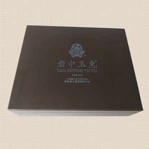 Boîte à thé en bois rectangulaire, épaisseur 0,9 cm, emballage artisanal fait main, origine Shenzhen MH 0289 - Product Image 1