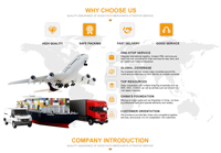 Logistique maritime et aérienne pour l'Afrique, expédition portuaire, service logistique professionnel de Tianjin/Xiamen vers le Maroc/l'Algérie