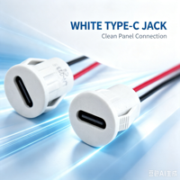 LN-022E Typ-C 2-Draht USB-C Buchse zum Einrasten, Typ-C Anschluss für Massagegeräte, Mini-Ventilatoren und Haushaltsgeräte-Umbauten