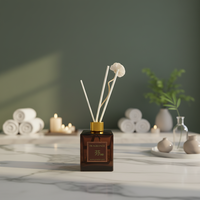Diffuseur de parfum commercial pour la maison, motif solide, écologique, recharge d'huile aromatique longue durée, parfum intense, bouteille prête à l'emploi