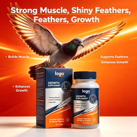 Poudre de renforcement musculaire pour pigeons de course 250g, complément alimentaire pour la santé des plumes, minéraux chélatés de lysine, calcium et phosphore