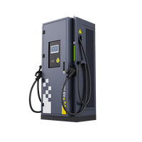 Chargeur rapide pour véhicules électriques Baige Power WY06-2-GB/T DC à double pistolet 160-240 kW, étanche IP54, anti-poussière, avec démarrage intelligent RFID