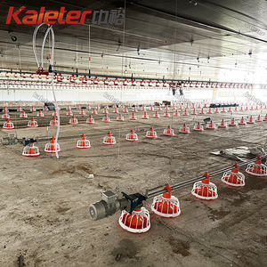 อุปกรณ์ฟาร์มไก่เนื้อไนจีเรีย <span class=keywords><strong>Big</strong></span> <span class=keywords><strong>Dutchman</strong></span> สำหรับสัตว์ปีก  จำหน่ายเครื่องให้อาหารและเครื่องให้น้ำสำหรับไก่ - Product Image 2