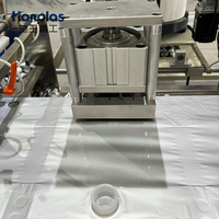 HP-L BIB600 Hanplas haute vitesse en plastique potable remplissage liquide concentré sac dans la boîte faisant la Machine