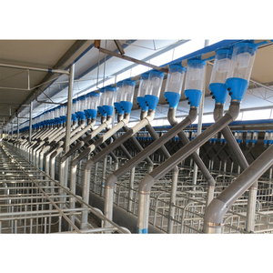 Sistema de Alimentación Automático, Dispensador de Alimento para Ganadería Porcina, Comedero para Animales - Product Image 5