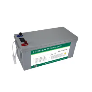 2023 12V 24V 48V có thể sạc lại LiFePO4 pin lithium 48V 50A 200AH