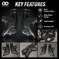 Panneaux latéraux de protection en fibre de carbone, protections segmentées pour moto électrique tout-terrain Sur Ron Ultra Bee