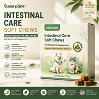 Compléments alimentaires multivitaminés et probiotiques pour chiens et chats, marque privée personnalisée, pour la santé des articulations - Absorption rapide et durée de conservation de 2 ans