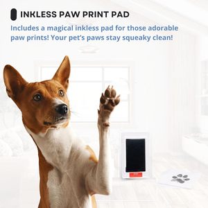 Regalos conmemorativos para perros Regalo <span class=keywords><strong>de</strong></span> pérdida <span class=keywords><strong>de</strong></span> mascotas Collar <span class=keywords><strong>de</strong></span> perro Marco <span class=keywords><strong>de</strong></span> fotos <span class=keywords><strong>de</strong></span> madera Marco <span class=keywords><strong>de</strong></span> imagen conmemorativo Recuerdo Caja <span class=keywords><strong>de</strong></span> <span class=keywords><strong>sombra</strong></span> para mascotas - Product Image 6