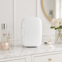 Mini-réfrigérateur de nouvelle conception, réfrigérateur à maquillage 4L pour boissons (6 canettes) et soins de la peau, petit réfrigérateur de beauté