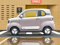 Bestune Pony Linglongma, Vehículo Eléctrico de Nueva Energía, 100 KM/H de Alta Velocidad, 4 Puertas, 4 Asientos, NEDC 222 km, Hecho en China, Color Rosa