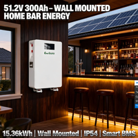 Baterai Lithium Ion 15kWh 48V 51.2V 300Ah untuk Sistem Tenaga Surya Terpasang di Dinding dengan Roda