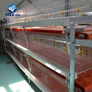 Overseas Poultry Plier Broiler Cage In Zimbabwe Chicken Cage System for Farming Poultry