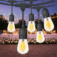 Guirlandes lumineuses décoratives d'extérieur LED suspendues de haute qualité, imperméables, blanc chaud, cuivre, IP44, personnalisables