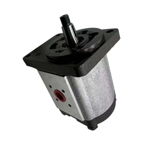 Pompa Idraulica a Ingranaggi Serie PHP Fornita dalla Fabbrica: PHP20.26D0-83E2-LBF/BD-N, PHP30.52D0-84E3-LEF/EE-N, PHP40.80D0-81E2-<span class=keywords><strong>LFE</strong></span>/EF-N - Product Image 3