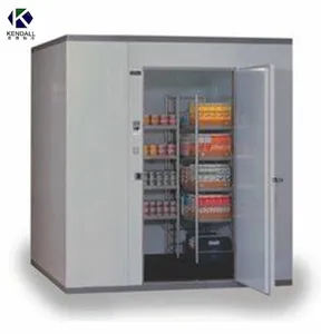 ISO Good Price Low Temperature Cold Room Fridge Walk in Freezer for Banana Mango or Other Fruit
