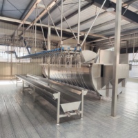 Ligne de production d'abattage de poulets, équipement automatique d'échaudage, d'épluchage et d'éviscération de volailles pour abattoir de poulets