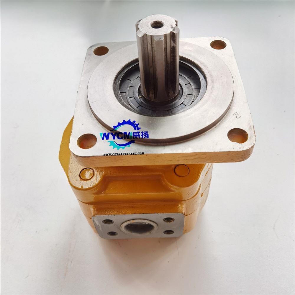 11c0028/cbgj2063 Gear Pump Assy Spare Part for XG 932 Wheel Loader