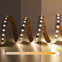 WS2811DMX512 Bande lumineuse LED pixel adressable 120LED/mètre USB SPI pour DC24V Mono Color Voice pour la décoration de projet