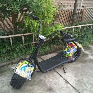 Chargeur rapide pour scooter électrique Citycoco avec batterie amovible, cyclomoteur électrique personnalisé et coloré, fabricant chinois - Product Image 3