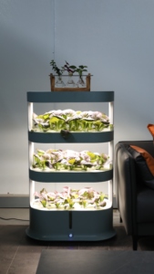 Fabricant de source Vente en gros Ville Agriculture Système hydroponique Usage domestique Jardinière de légumes pour <span class=keywords><strong>tour</strong></span> hydroponique de fraises - Product Image 2