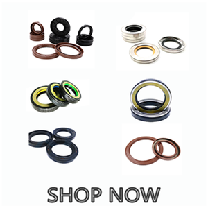 高品質産業タイプダブルリップオイルシールカスタマイズ特殊サイズTG TG4 Tb Sb ScTaリップシール - Product Image 5