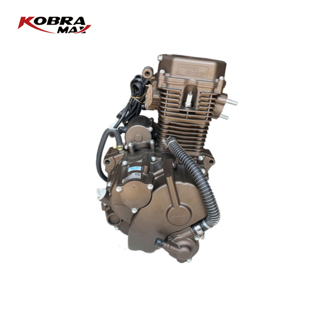 250cc 1 Cylinder Motorcycle Engine and Other Motorcycle Engines for Lifan Motorcycle Engine