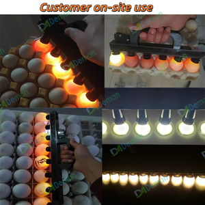 Lampada LED ad Alta Intensità 6 Pezzi Tester per Uova di Gallina 10 Pezzi Torcia per Uova 11 Pezzi Macchina per Speratura Uova per Incubatoio - Product Image 5