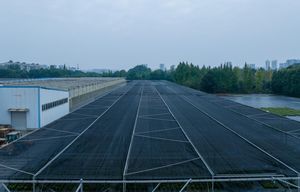 Usine Jiapei Cadre de tuyau <span class=keywords><strong>en</strong></span> acier galvanisé Pare-soleil <span class=keywords><strong>Abri</strong></span> simple Système d'ombrage de serre pour fleurs <span class=keywords><strong>en</strong></span> pot - Product Image 2