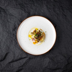 أطباق بورسلين للفنادق والمطاعم، أدوات مائدة سيراميك بيضاء اللون، أطباق غداء 12 بوصة للمطاعم - Product Image 6