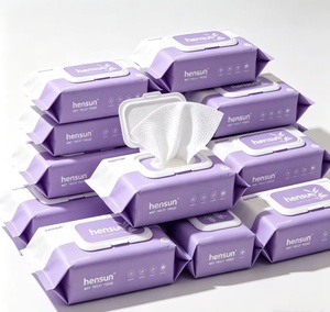 Lingettes humides écologiques Hensun pour toilettes, jetables, 10, 50, 100, 300 lingettes, format voyage, familial, à fixer au mur, poche - Product Image 2