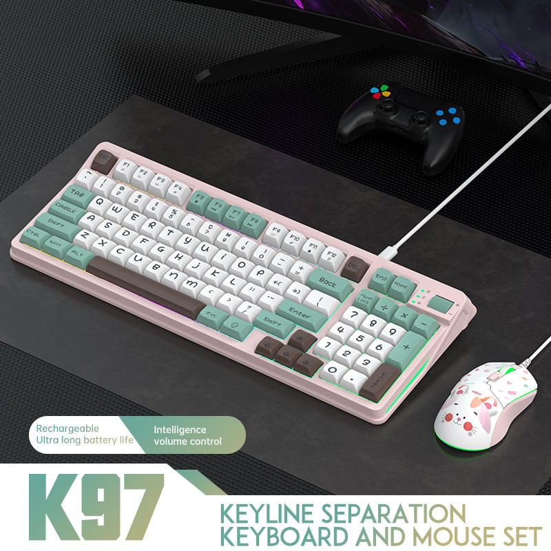 Rose Arc-en-ciel Lumineux [clavier et souris]