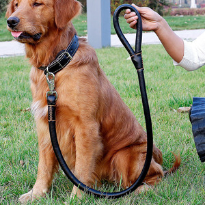 <b>Pet</b> Dog Leather <b>Collar</b> <b>Leash</b> Home Dog Walking <b>Leash</b> Set <b>Pet</b> PU <b>Collar</b> <b>Leash</b> Fashionable Simple Impact Resistant Durable - Product Image 4