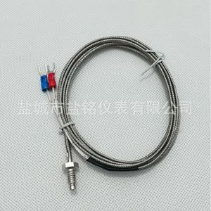Salt Inscription E Type Thermocouple 0-400 Celsius Wire Leads Temperature Sensor - Product Image 1