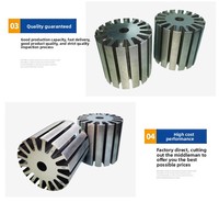 Accesorios de Motor de Corriente Continua de Acero al Silicio DC9524 de Alta Calidad, Marca JDB, Estator y Rotor para Eje de 25 mm y Longitud de 80 mm
