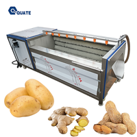 Machine automatique de lavage et de pelage des légumes racines (pommes de terre, carottes)