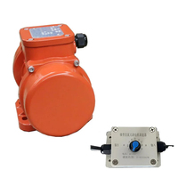 24V 250W DC Brushless bldc Moteur électrique Vibration Moteur Vibrateur de béton Vibrateur haute fréquence