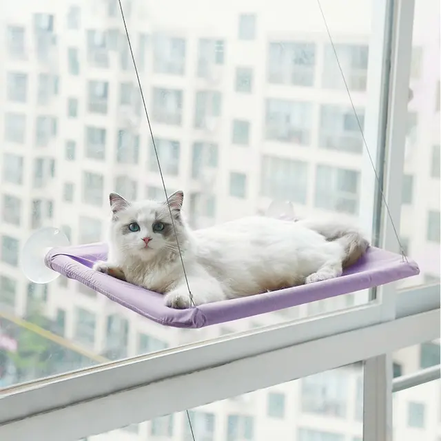 Petit mignon quatre saisons monté sur la fenêtre chat hamac chat fenêtre perche Version améliorée accessoires de lits de chat pour animaux de compagnie les plus sûrs