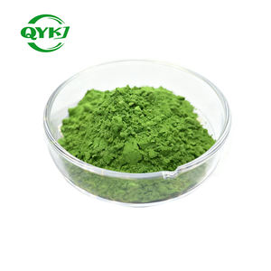 Grosir bubuk ekstrak klorella jumlah besar bubuk klorella kualitas tinggi aman untuk makanan - Product Image 2