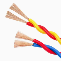 Câble électrique en cuivre torsadé résistant au feu 2 conducteurs 6 mm RVS PVC