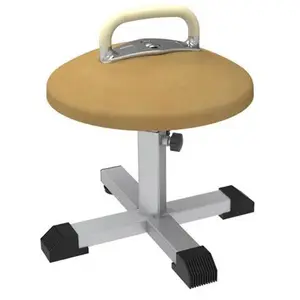 ZONWINXIN factory supply Gymnastic Training Mushroom with 1 Pommel Base Consisting Of A metal Cross With Non-Slip Pads
