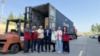 Línea de Producción de Papas Fritas Congeladas Totalmente Automática con Control PLC, Equipo Inteligente para la Elaboración de Papas Fritas